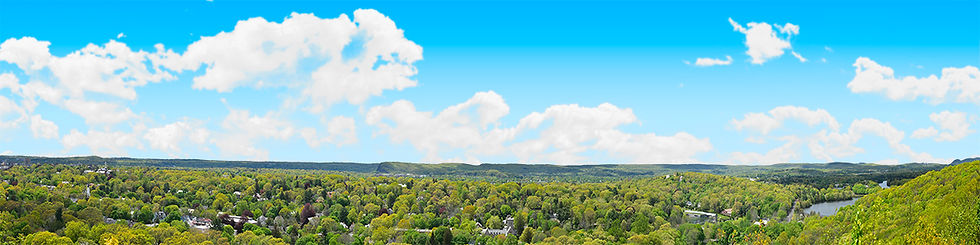 Thumbnail: NEW ENGLAND FOREST VALLEY right