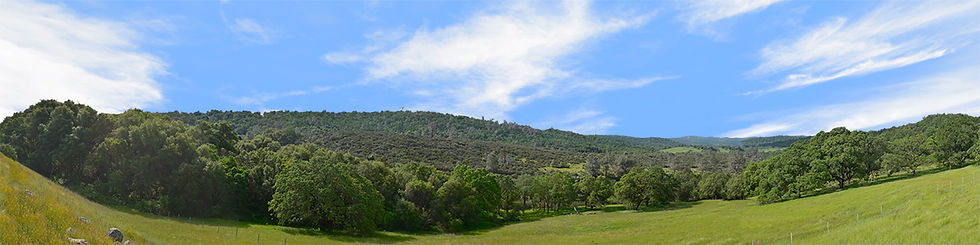 Thumbnail: VALLEY MEADOW NORTH CENTRAL CALIFORNIA right