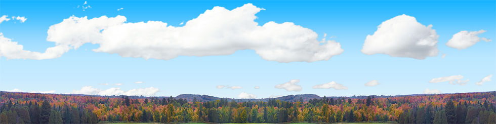 Thumbnail: AUTUMN TREELINE IN WISCONSIN Repeatable