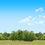 Thumbnail: TREELINE PANORAMA repeatable
