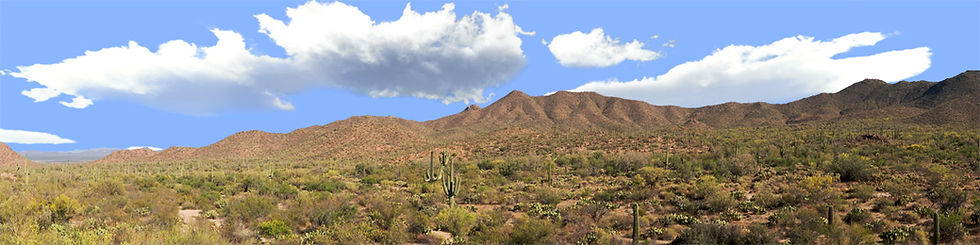Thumbnail: SAGUARO NATIONAL MONUMENT TUCSON ARIZONA right