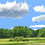 Thumbnail: TREELINE VISTA EASTERN COLORADO 1