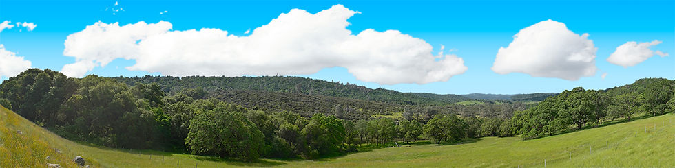 Thumbnail: VALLEY MEADOW NORTH CENTRAL CALIFORNIA right