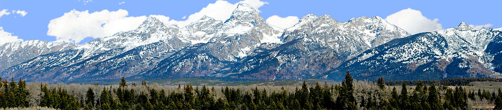 Thumbnail: GRAND TETON NATIONAL PARK MOUNTAIN WITH TALL GRASS AND TREES left