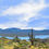 Thumbnail: SONORAN DESERT AND BARTLETT LAKE PHOENIX ARIZONA left