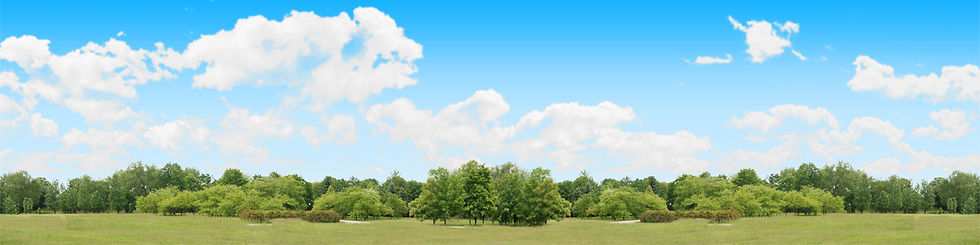Thumbnail: TREELINE PANORAMA repeatable