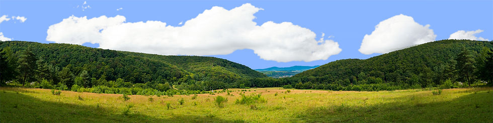 Thumbnail: APPALACHIAN MOUNTAIN VALLEY Center Repeatable