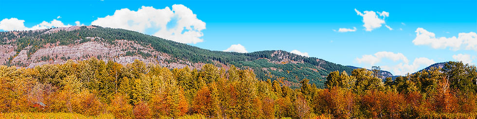 Thumbnail: AUTUMN MT WASHINGTON WHITE MOUNTAINS NEW HAMPSHIRE SCENE 2 right no lake
