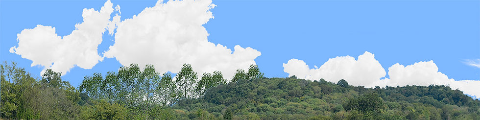 Thumbnail: SMOKY MOUNTAINS FOREST left
