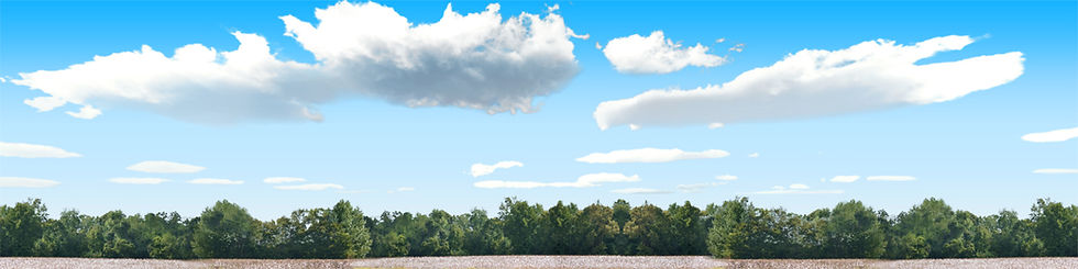Thumbnail: COTTON FIELDS WITH TREELINE center repeatable