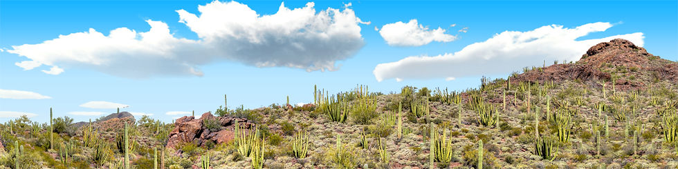 Thumbnail: ORGAN PIPE CACTUS NATIONAL MONUMENT VISTA 2 repeatable