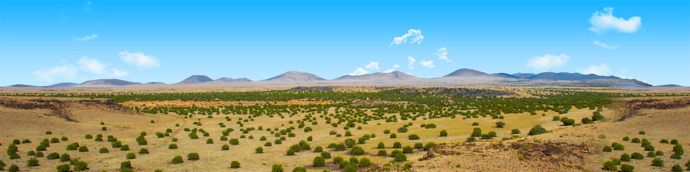 Thumbnail: COCONINO NATIONAL FOREST ARIZONA center repeatable