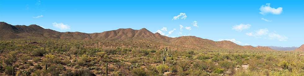 Thumbnail: SAGUARO NATIONAL MONUMENT TUCSON ARIZONA left