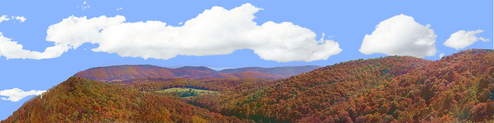 Thumbnail: FOREST CANOPY IN WEST VIRGINIA IN AUTUMN left