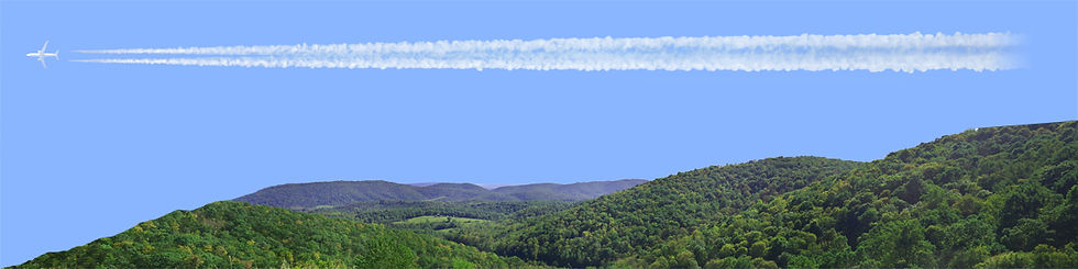 Thumbnail: FOREST CANOPY IN WEST VIRGINIA IN SUMMER left