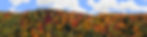 Thumbnail: AUTUMN HILLSIDE COVERED WITH TREES left