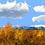 Thumbnail: AUTUMN GOLDEN TREELINE GRAND TETON NATL PARK WYOMING
