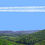 Thumbnail: FOREST CANOPY IN WEST VIRGINIA IN SUMMER right