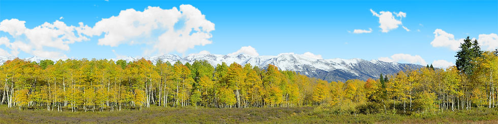 Thumbnail: FALL ASPENS KEBLER COLORADO right