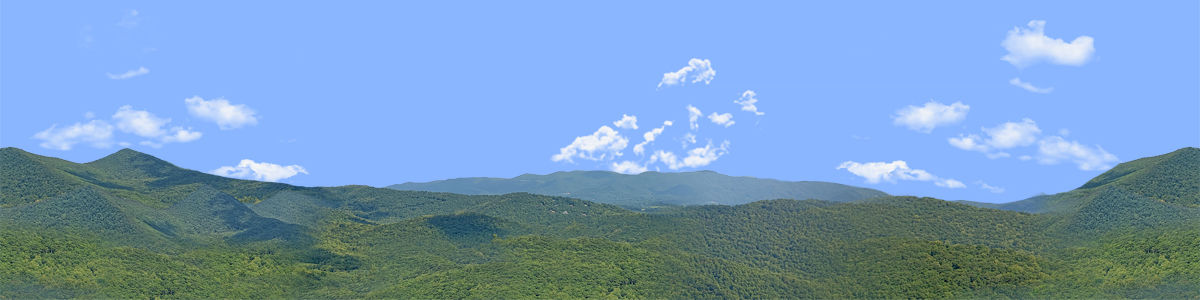 BLUERIDGE MOUNTAIN VISTA 3 Center Repeatable