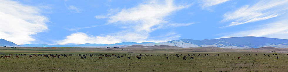 Thumbnail: BEEF ITS WHATS FOR DINNER IN WYOMING PT 3