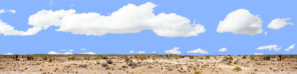 Thumbnail: DESERT FLOOR NEVADA repeatable