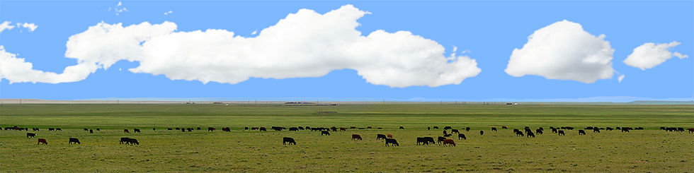 Thumbnail: BEEF ITS WHATS FOR DINNER IN WYOMING PT 1