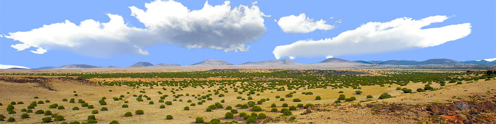 Thumbnail: COCONINO NATIONAL FOREST ARIZONA DESERT right