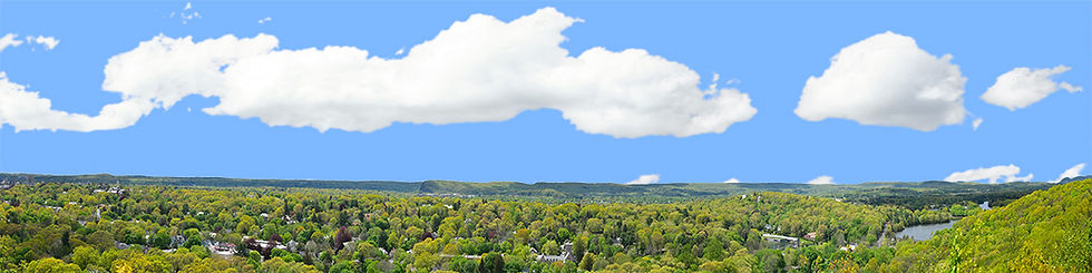 Thumbnail: NEW ENGLAND FOREST VALLEY right
