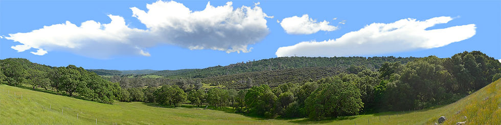 Thumbnail: VALLEY MEADOW NORTH CENTRAL CALIFORNIA left