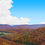 Thumbnail: FOREST CANOPY IN WEST VIRGINIA IN AUTUMN left