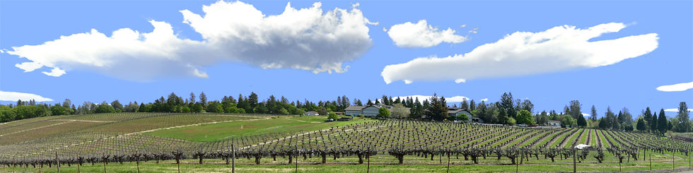 Thumbnail: VINEYARDS PLACEVILLE CALIFORNIA right