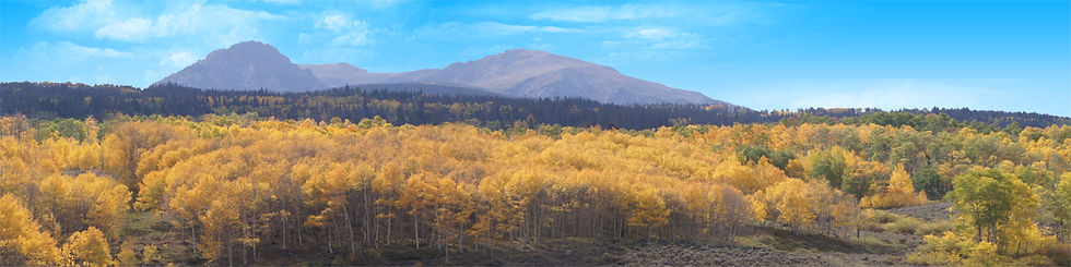 Thumbnail: COLORADO ASPEN AUTUMN GOLD WITH ROCKY MOUNTAINS IN DISTANCE right