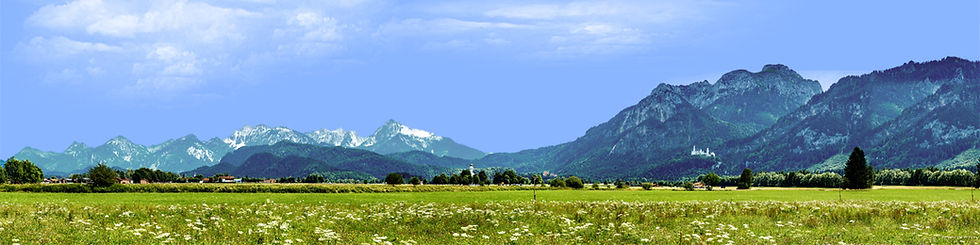 Thumbnail: BAVARIAN MEADOW GERMAN ALPS left