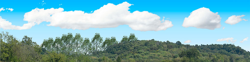 Thumbnail: SMOKY MOUNTAINS FOREST left