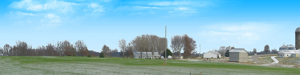 Thumbnail: FARM IN BOWLING GREEN IN WINTER 1