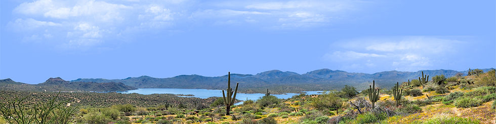 Thumbnail: SONORAN DESERT AND BARTLETT LAKE PHOENIX ARIZONA right
