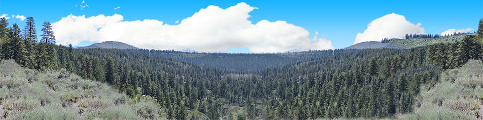 Thumbnail: TRUCKEE RIVER CANYON CALIFORNIA NO TRAIN left