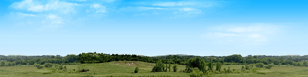Thumbnail: KANSAS PASTURE VISTA center repeatable