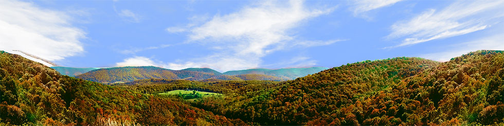 Thumbnail: FOREST CANOPY IN WEST VIRGINIA IN AUTUMN center continuous
