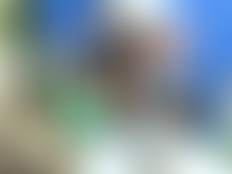 36 anos do Colégio Miranda: história além das salas de aulas