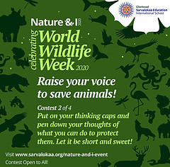 world-wildlife-week-c2.jpg