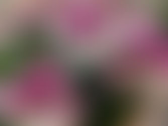 Mi refugio en Barcelona: cómo el hogar se convirtió en mi lugar de bienestar