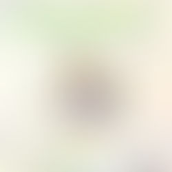 Roda de Conversa: A epistemologia do Buen Vivir e as Políticas de Segurança Alimentar e Nutricional.