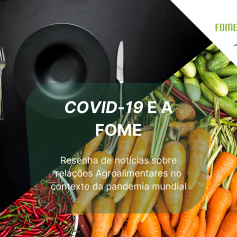 Covid-19 e a Fome - #13 (1 a 31 de agosto)