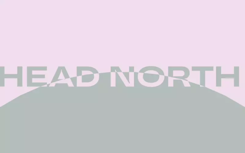 Head North creativity branding agency.webp