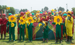 w0741407D1DS-20151010_121337_209-0960