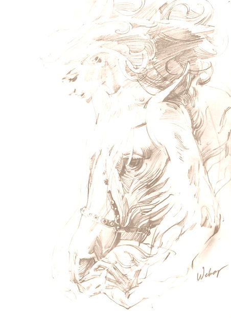 image of horse and woman