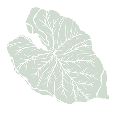 Leaf1.png