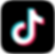 TikTok Ads Logo